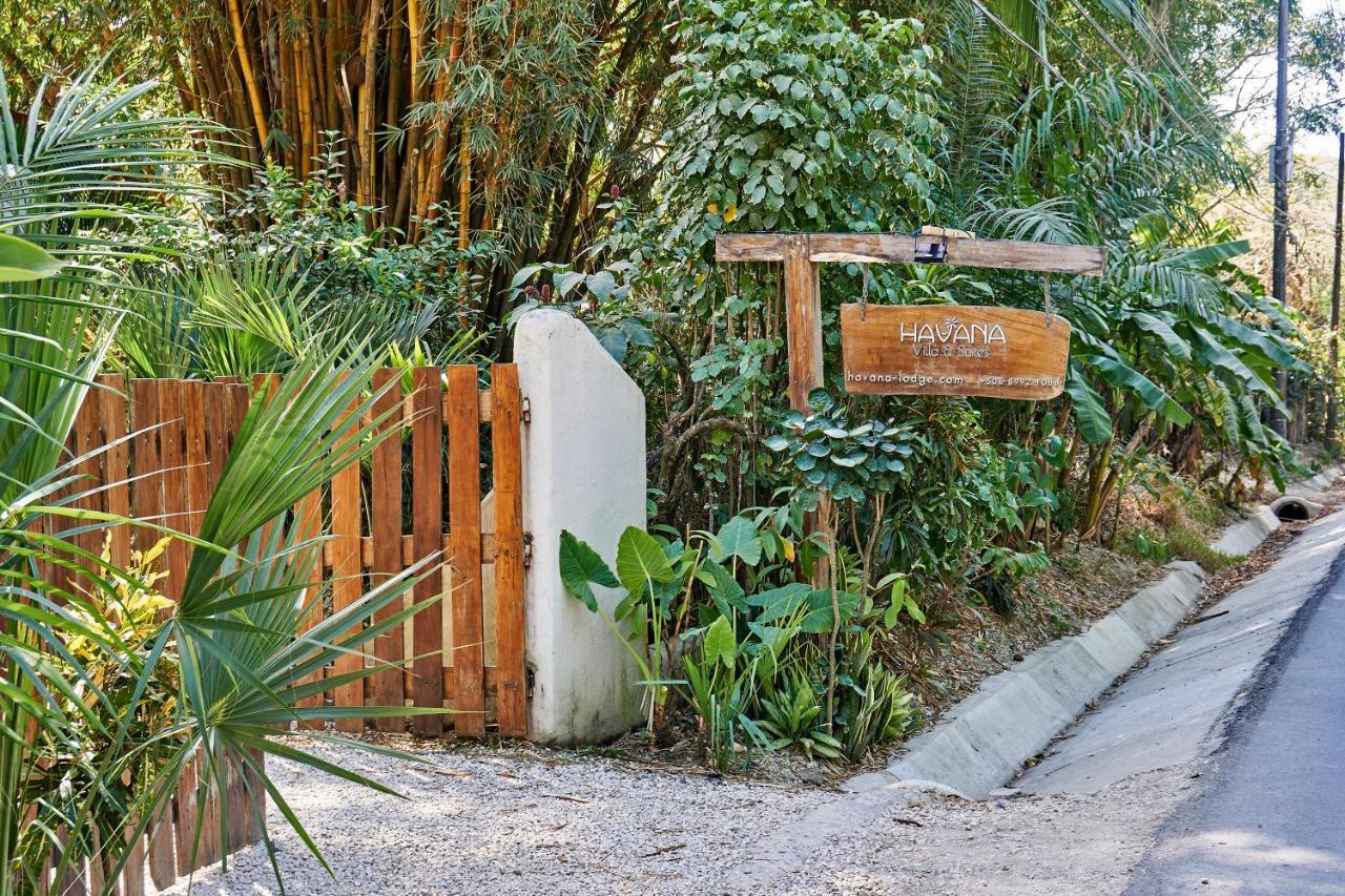 Villa Havana Malpaís Eksteriør billede