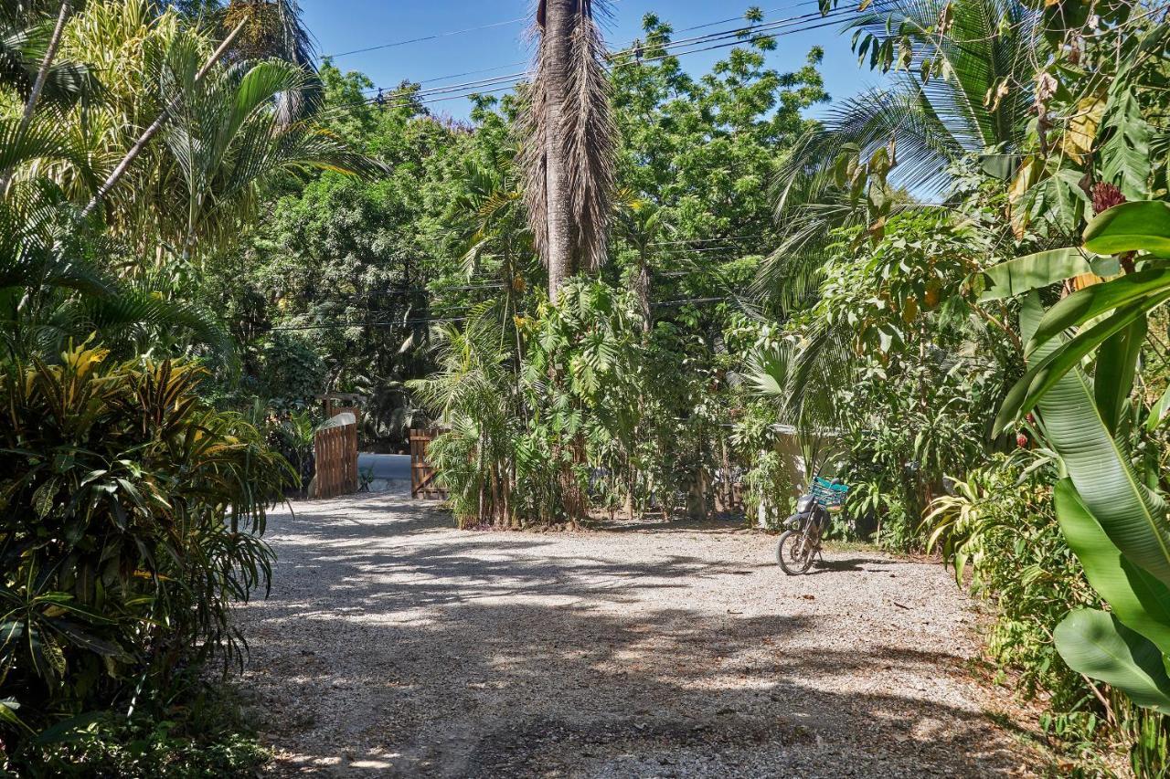 Villa Havana Malpaís Eksteriør billede